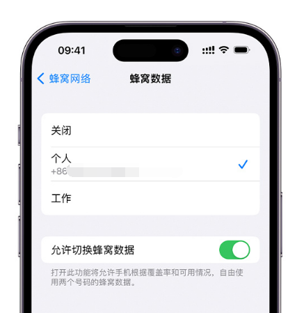 日照苹果维修服务分享如何在iPhone上使用双卡 